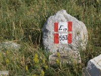 2019-07-06 P. Borghese e Porche 032